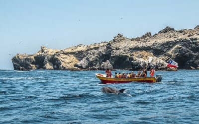 Imagen captada en isla Choros ganó V Concurso de Fotografía Turística  de APTUR Chile