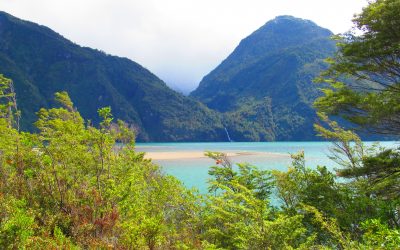 Destino turístico Patagonia Verde estará en Feria Vyva 2017